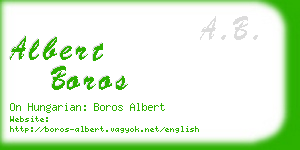 albert boros business card
